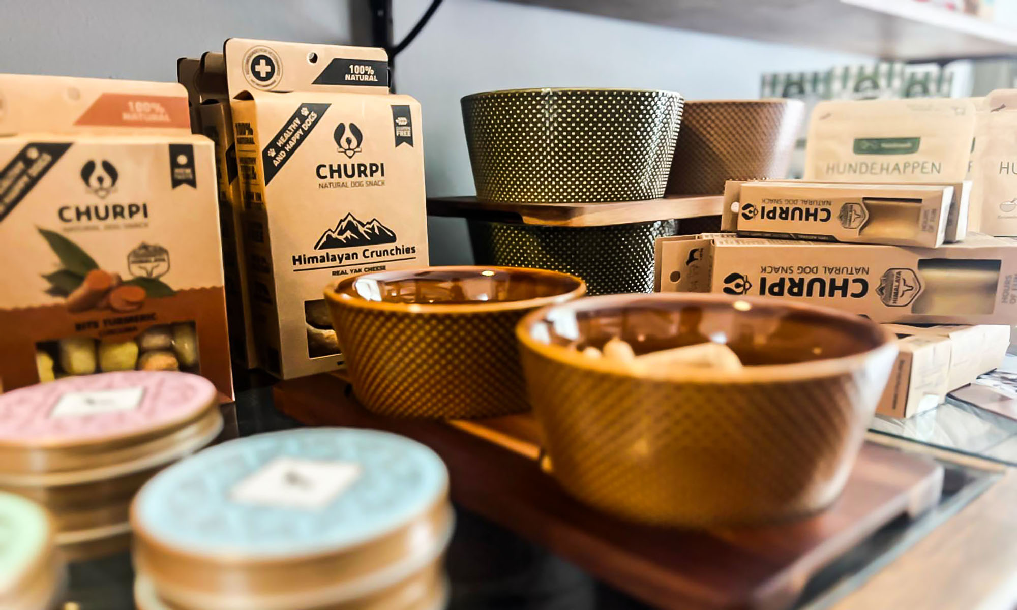 social-walk-spaziergang-mit-hund-hundetraining-hundeladen-kyritz