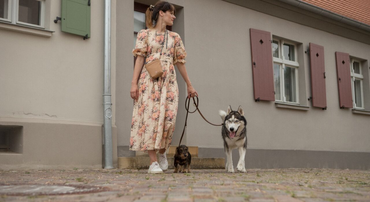 dominique-husky-hund-spaziergang-hundeladen-kyritz