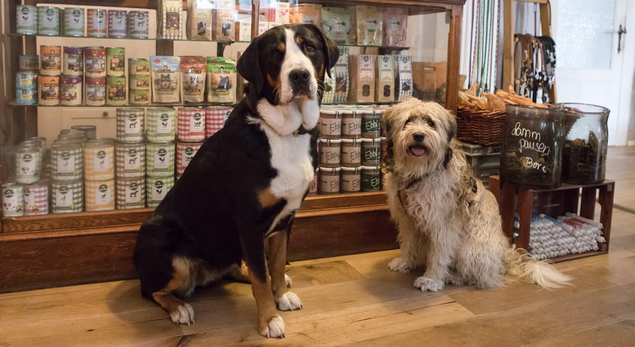 heino-hund-ronja-sennenhund-verkaufstresen-hundeladen-kyritz