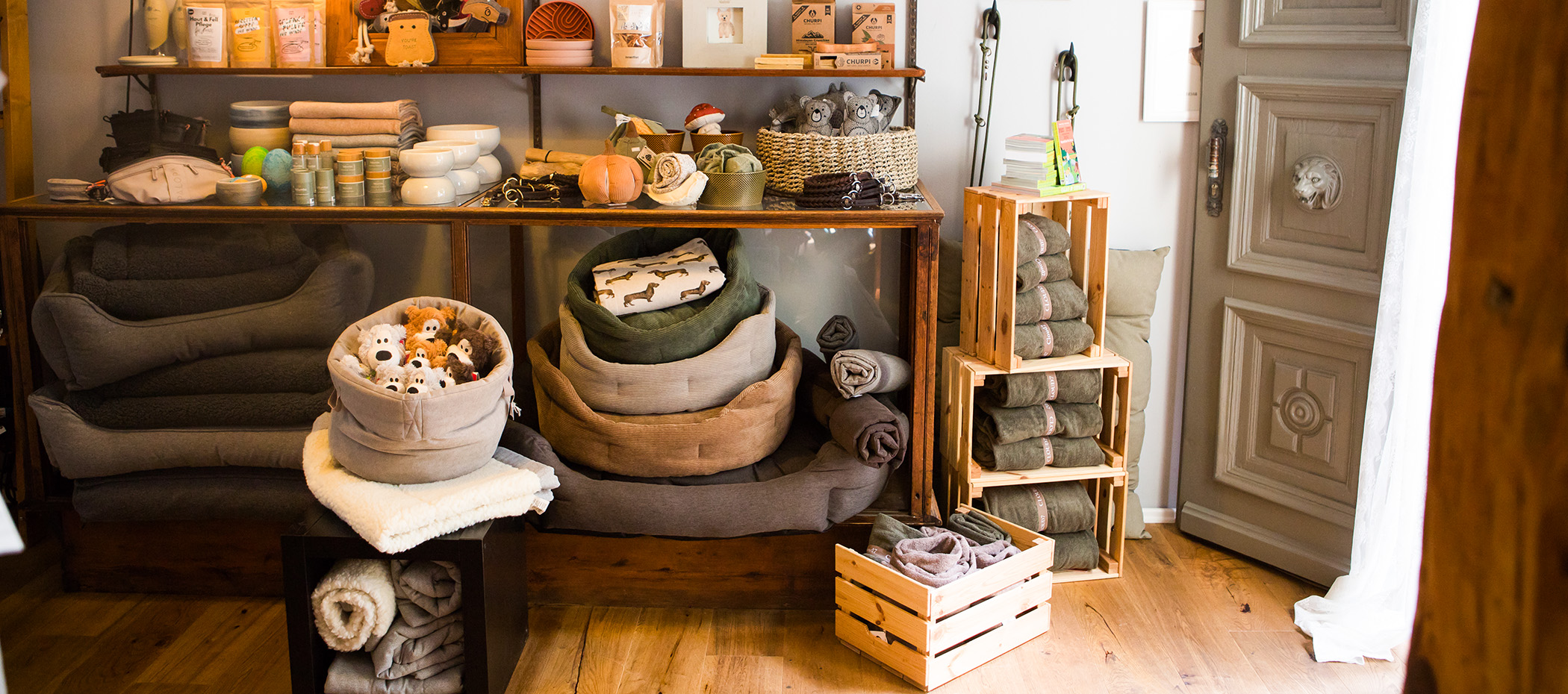 social-walk-spaziergang-mit-hund-hundetraining-hundeladen-kyritz