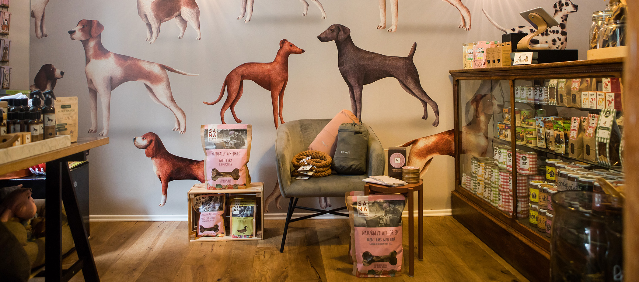 social-walk-spaziergang-mit-hund-hundetraining-hundeladen-kyritz