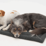 Reisematte Travel Matti Paddy graphite S von Dogs in the City