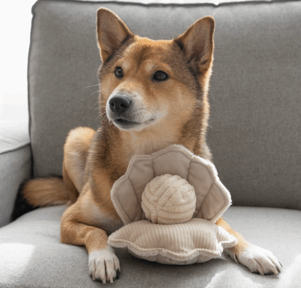 "Hundespielzeug OYSTER POP Muschel" von Lambwolf – Bild 2