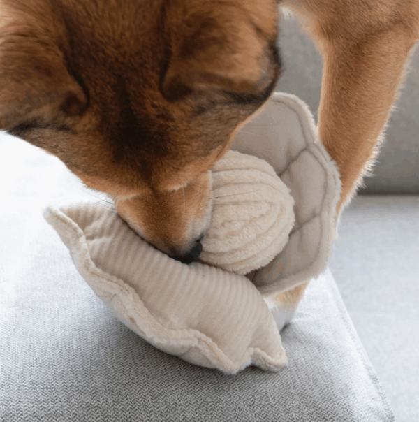 "Hundespielzeug OYSTER POP Muschel" von Lambwolf – Bild 5