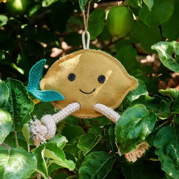 „Libby the Lemon- ökologisches Hundespielzeug von Green & Wild's -dein sonniges, nachhaltiges Spielvergnügen“ 🍋 – Bild 3
