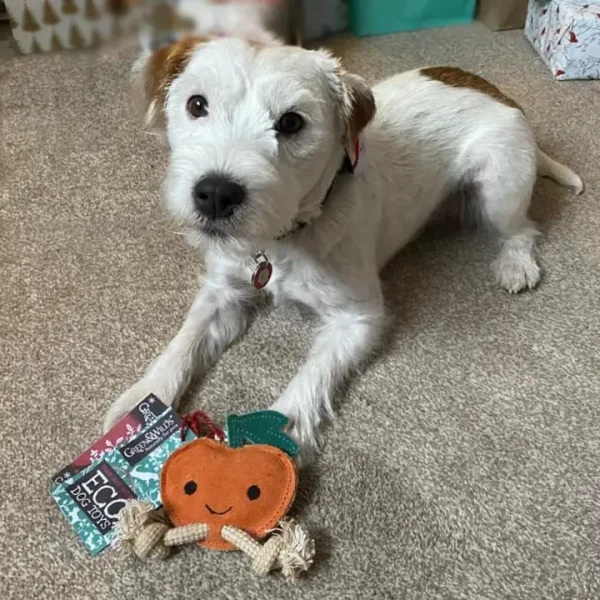 Sancho the Satsuma - Ökospielzeug von Green & Wild's – Bild 2